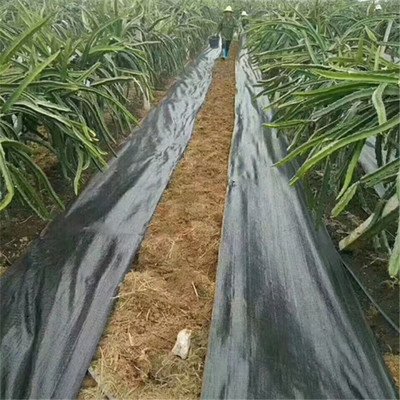 PE防草布